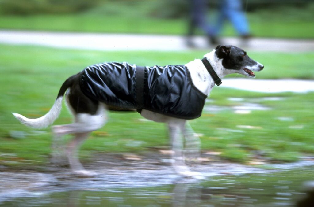 雨の日キャンプをする際に気を付けること