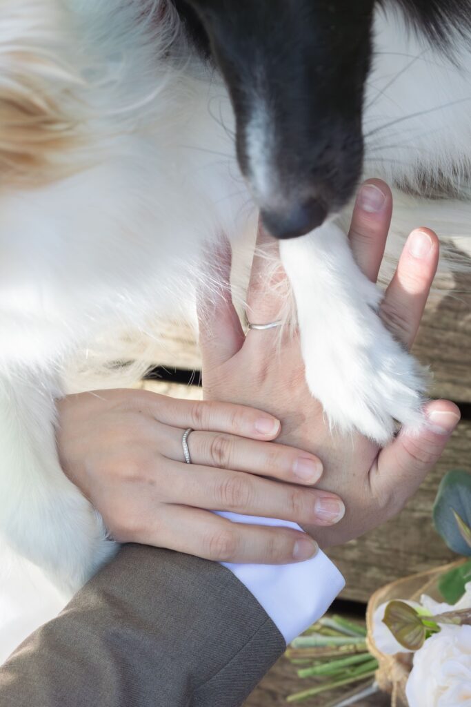 愛犬と大切な人と★特別な高原ウェディングフォトプラン