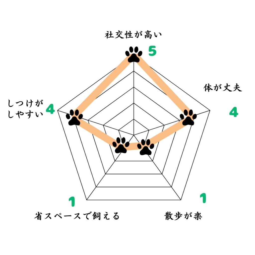 オーストラリアン・シェパードの性格・特徴