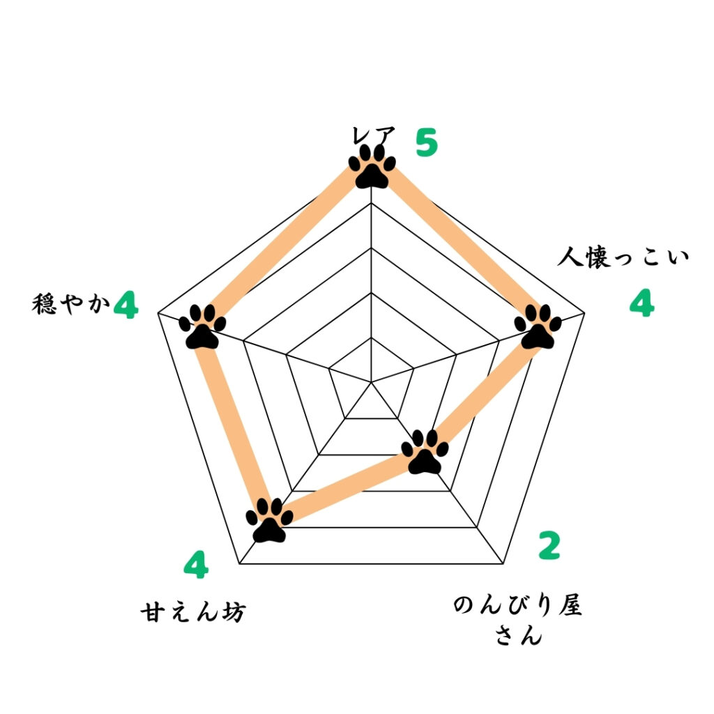 オーストラリアン・シェパードの性格・特徴