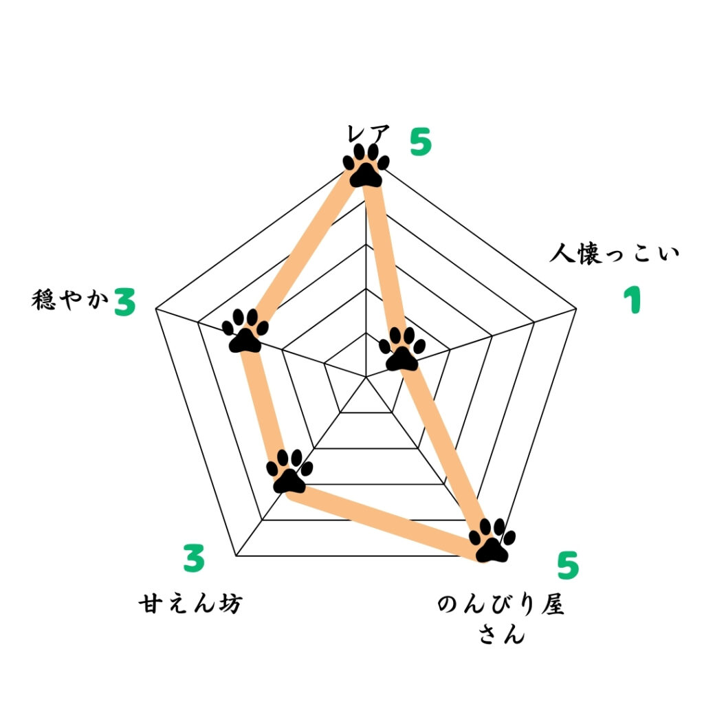 チャウ・チャウの性格・特徴